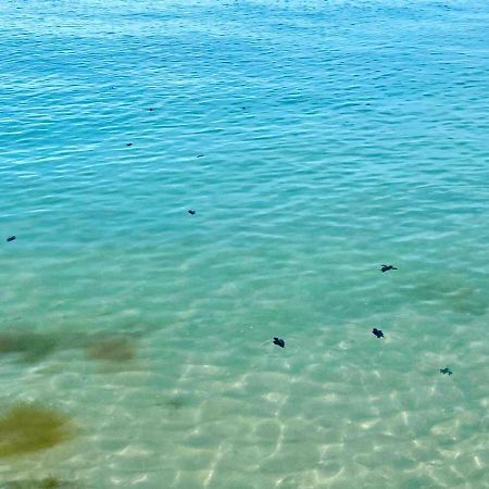 Beachfront Apartment With Swimming Pool. One Bedroom 셀레스툰 외부 사진